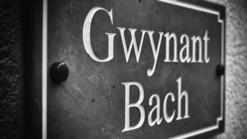 Gwynant Bach Βίλα Rowen Εξωτερικό φωτογραφία